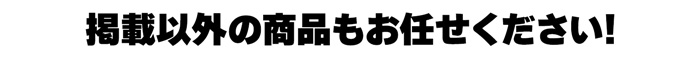 掲載以外の商品もお任せください。