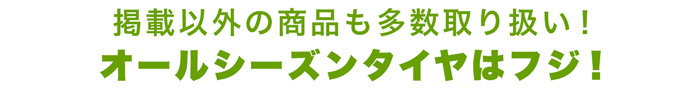 上記以外の商品も多数取り扱い！オールシーズンタイヤはフジ！