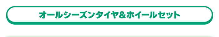 オールシーズンタイヤ＆ホイールセット