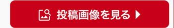 投稿画像を見る