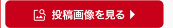 投稿画像を見る