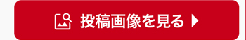 投稿画像を見る