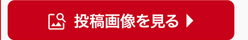 投稿画像を見る