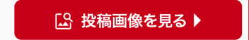 投稿画像を見る