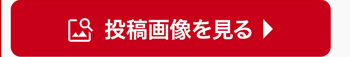 投稿画像を見る