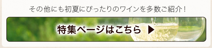 5・6月ソムリエおすすめ一覧