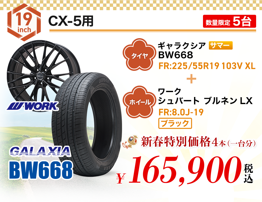 サマー商材7