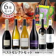 ベストセレクトセット ― 特製ワインバッグ付 ― 当店ソムリエおすすめセット