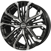 LGX【限定】 KYOHO シュタイナー